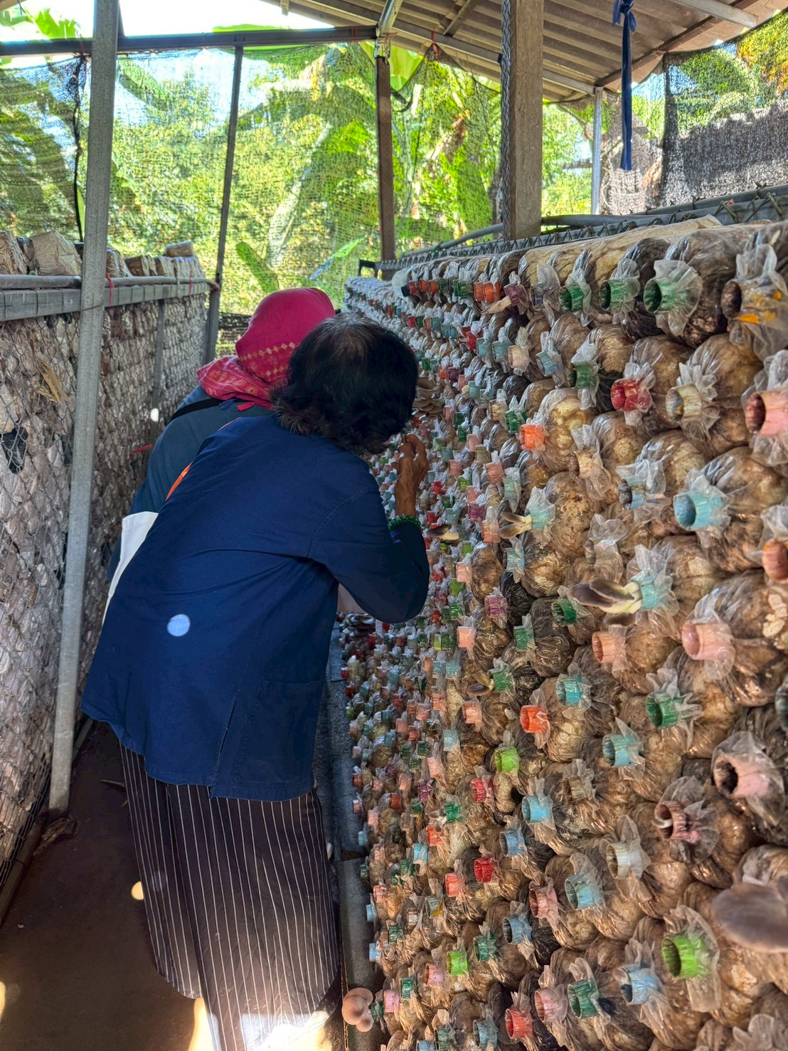 title - ส.ป.ก.จันทบุรี อบรมโครงการพัชรสุธาคชานุรักษ์ ปีงบประมาณ พ.ศ. 2569 